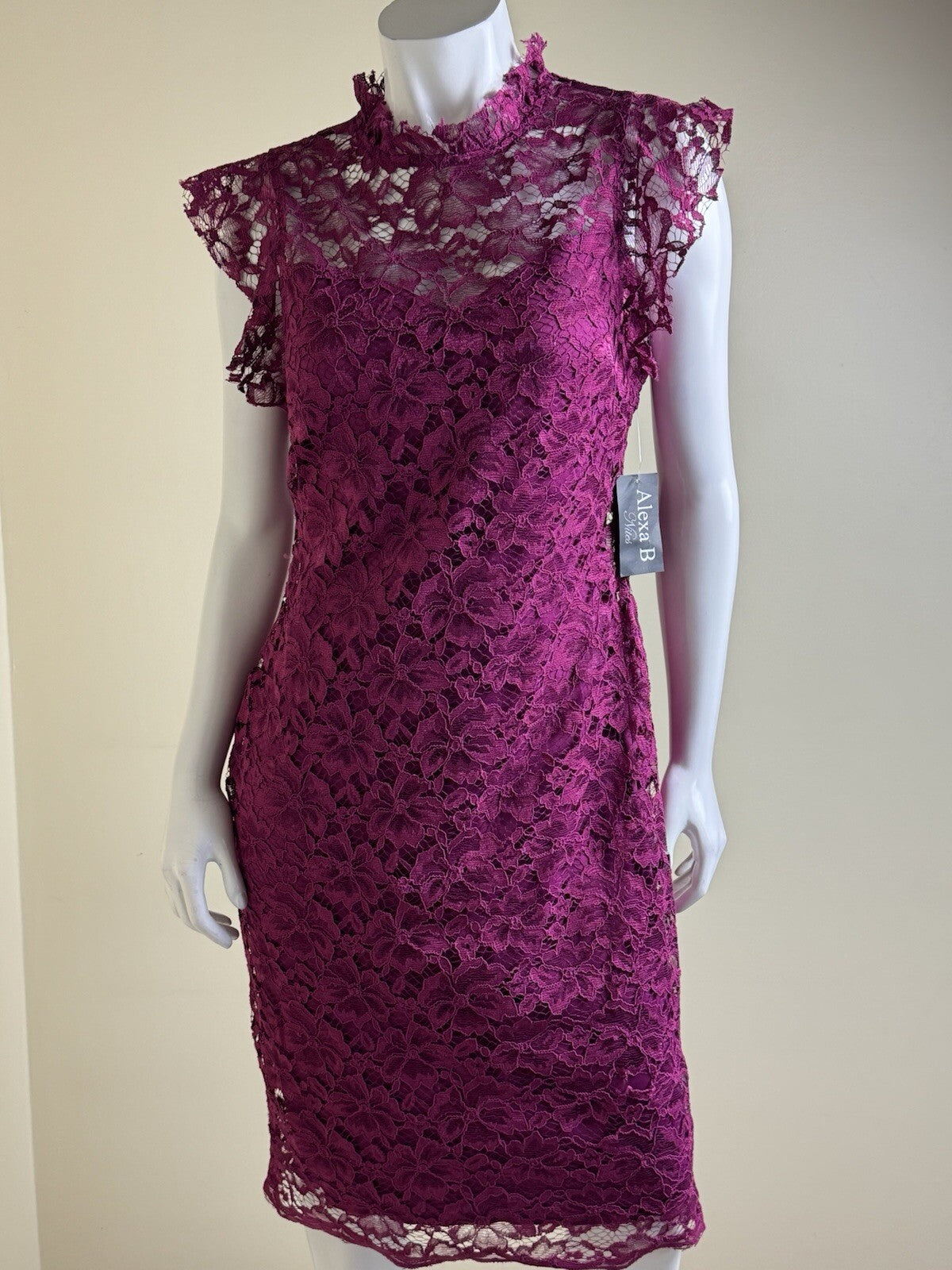 Alexa B Nites Fuchsia Crochet Dress Size 10.  (B.132)