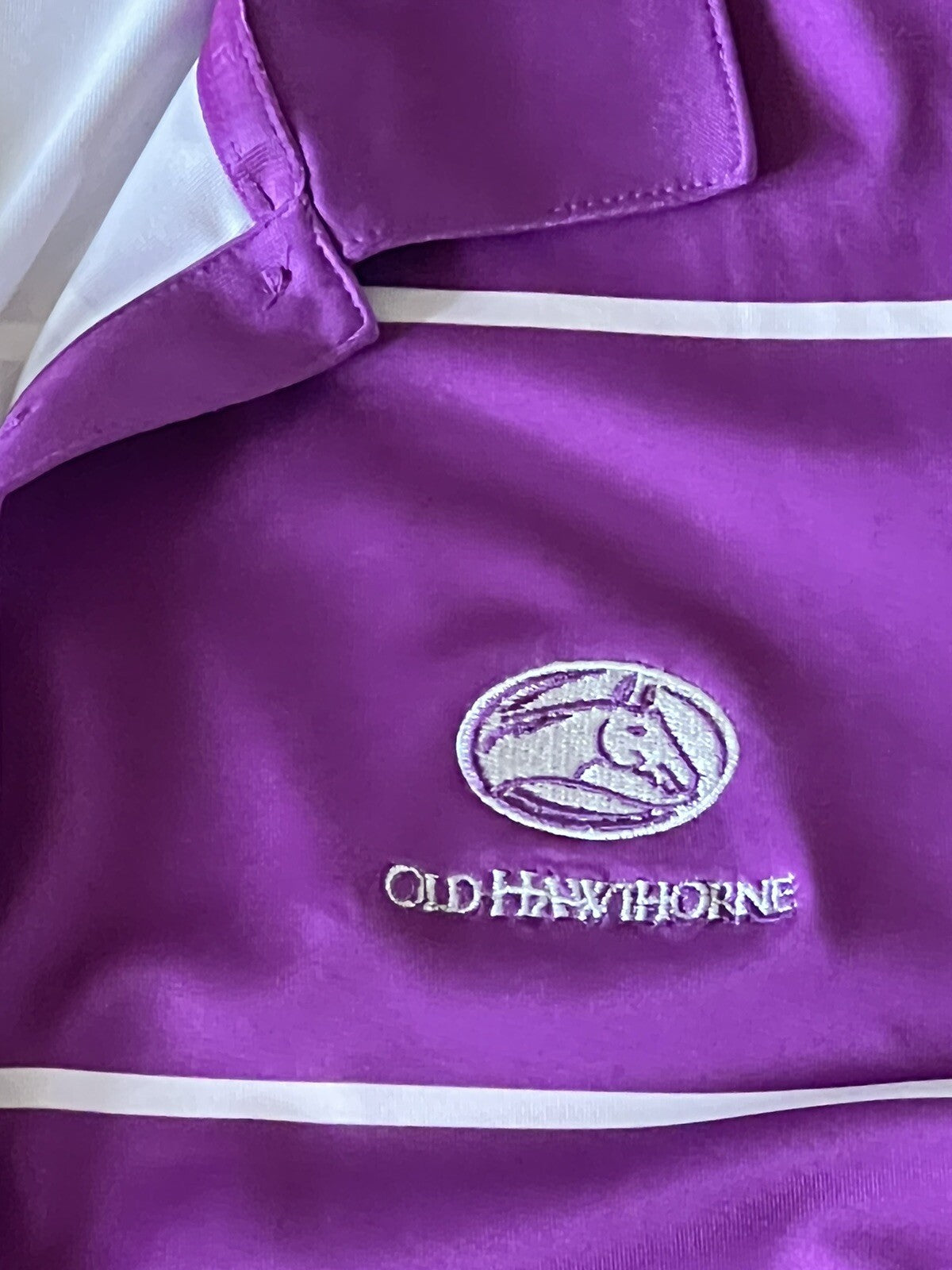 NikeGolf Women's Top Golf Shirt Purple w/White Stripes Sz L