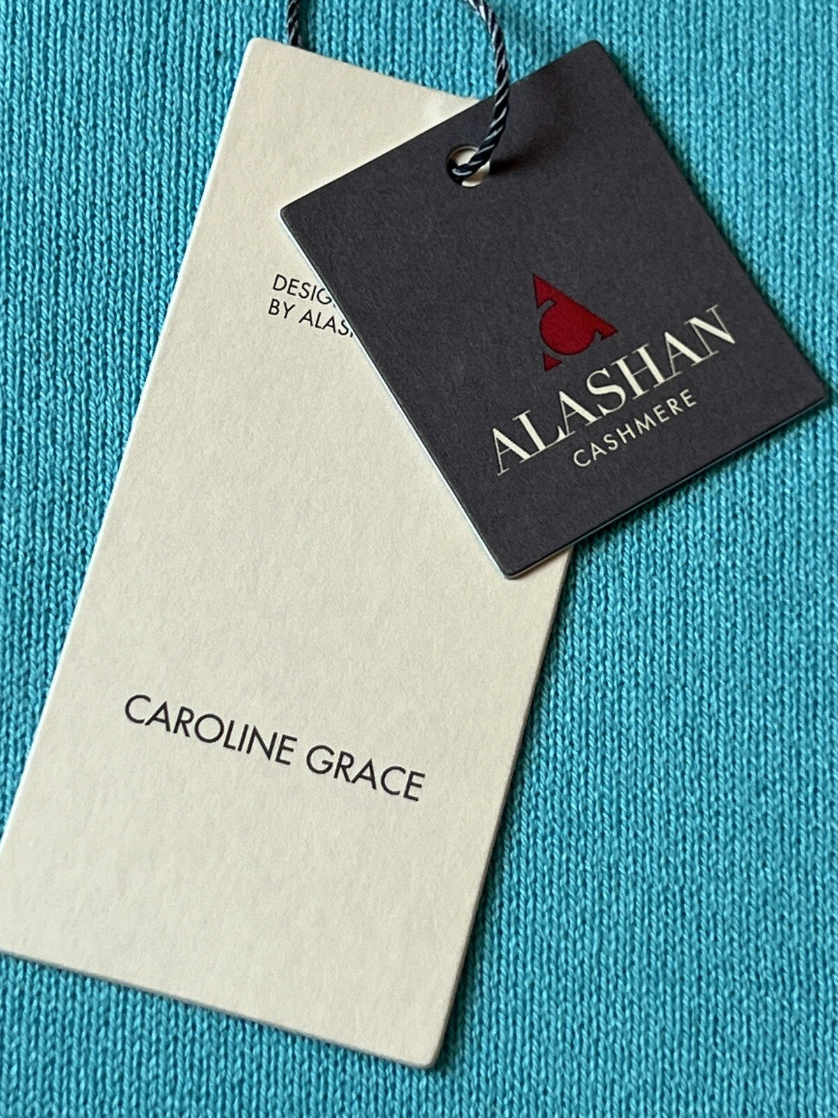 Caroline Grace Women’s Aqua Green Pullover Sweater Sz L —(18)