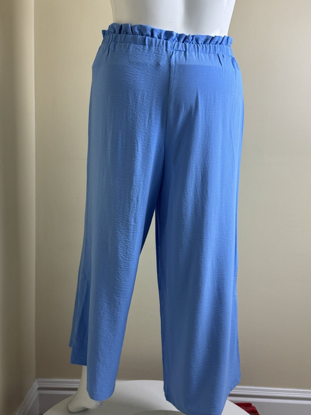 $89 Adrianna Papell Women's Trousers Pants Sz XL.  (B.160)