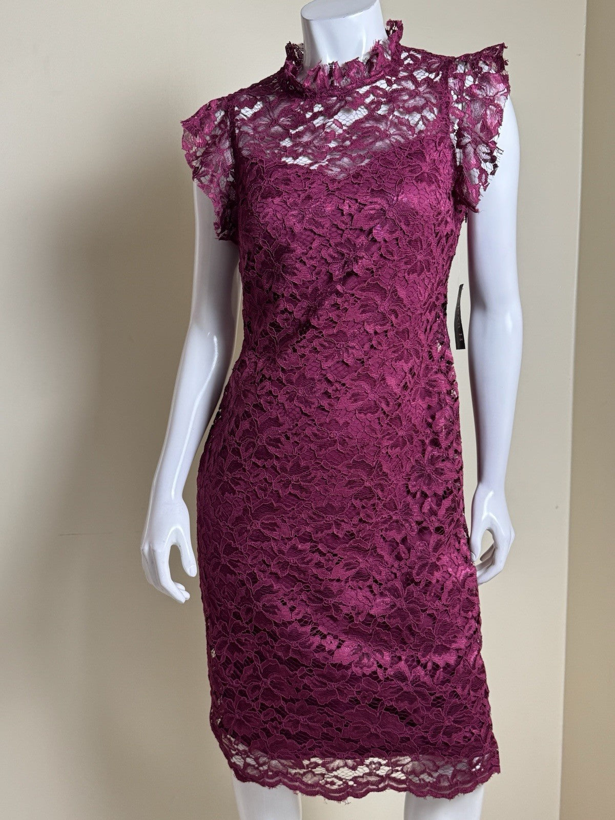 Alexa B Nites Fuchsia Lace Dress Size 8.  (B.99)