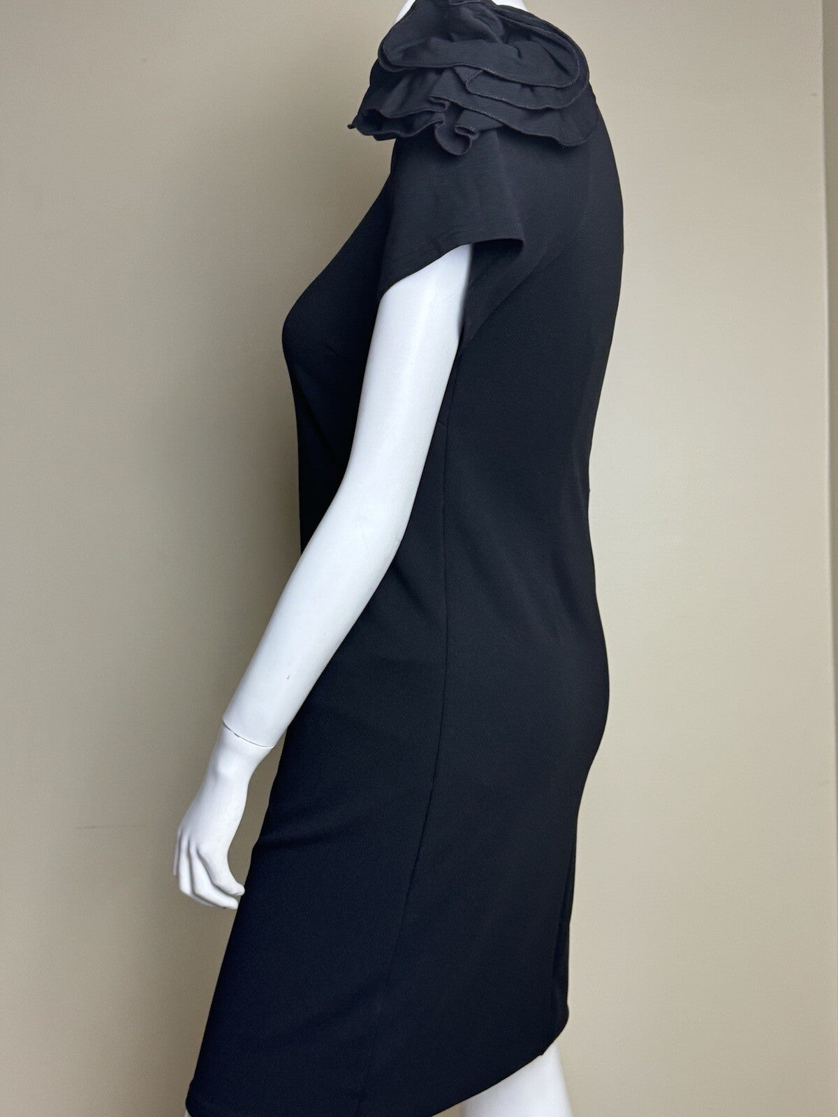 Nina Leonard Black Flower Embroidery Dress Sz XL       (B.100)