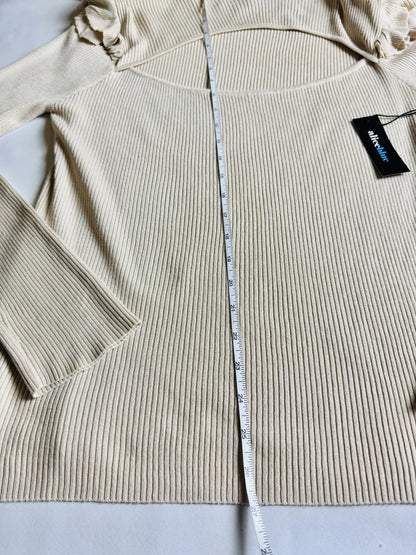 Alice Blue Women's Knit Sweater Size XL. (B.52)