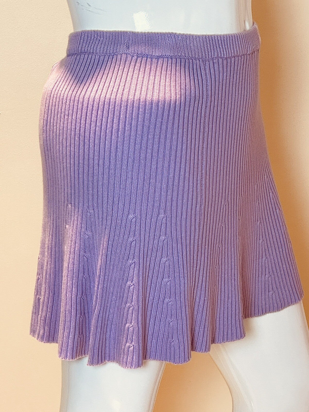Circus NY Knit Silhouette Skirt Sz XL Lavender A-Line Elastic Waistband (60)