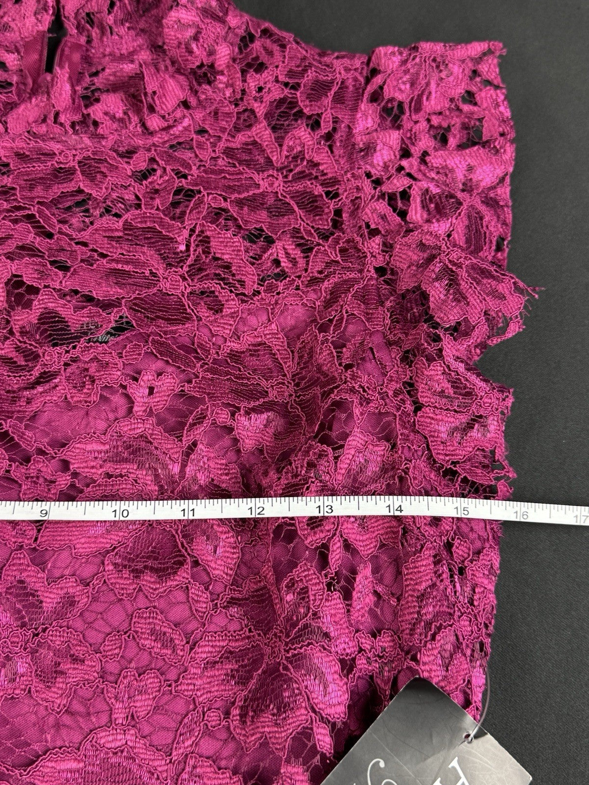 Alexa B Nites Fuchsia Lace Dress Size 8.  (B.99)
