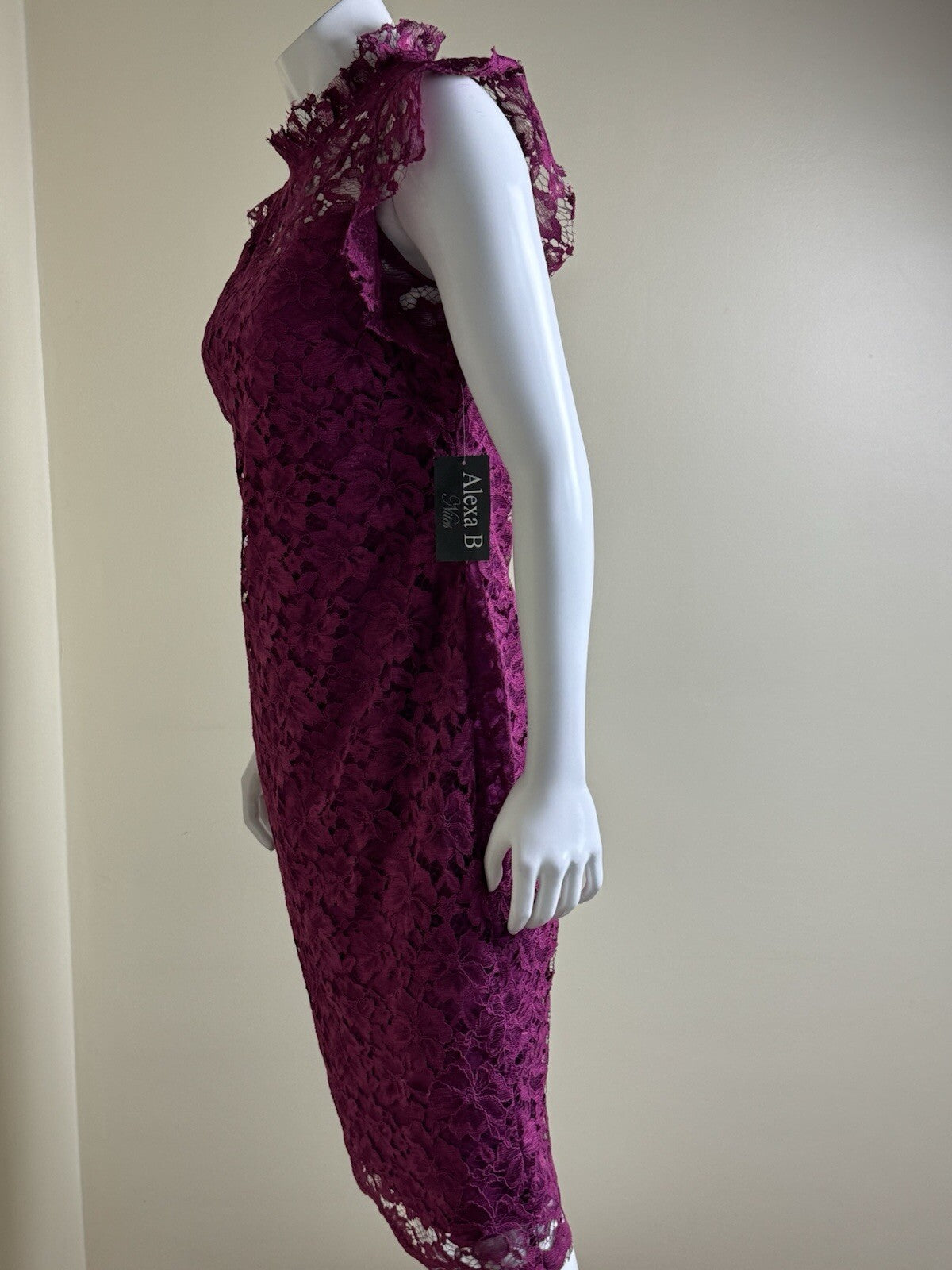 Alexa B Nites Fuchsia Crochet Dress Size 10.  (B.132)