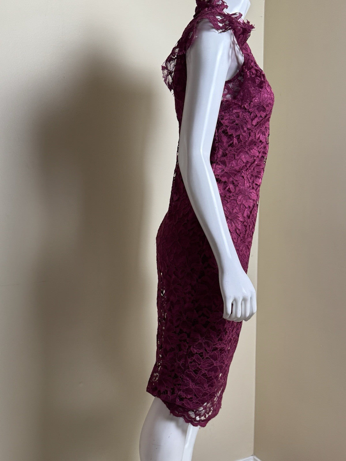 Alexa B Nites Fuchsia Lace Dress Size 8.  (B.99)
