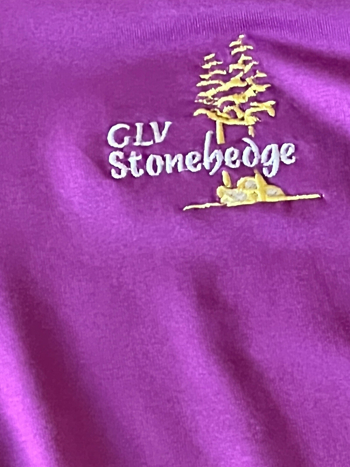 ANTIGUA Women's Golf Polo Shirt Purple Top Sz S