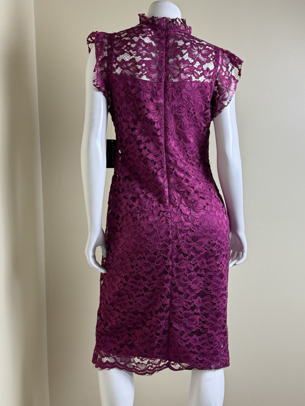 Alexa B Nites Fuchsia Crochet Dress Size 10.  (B.132)