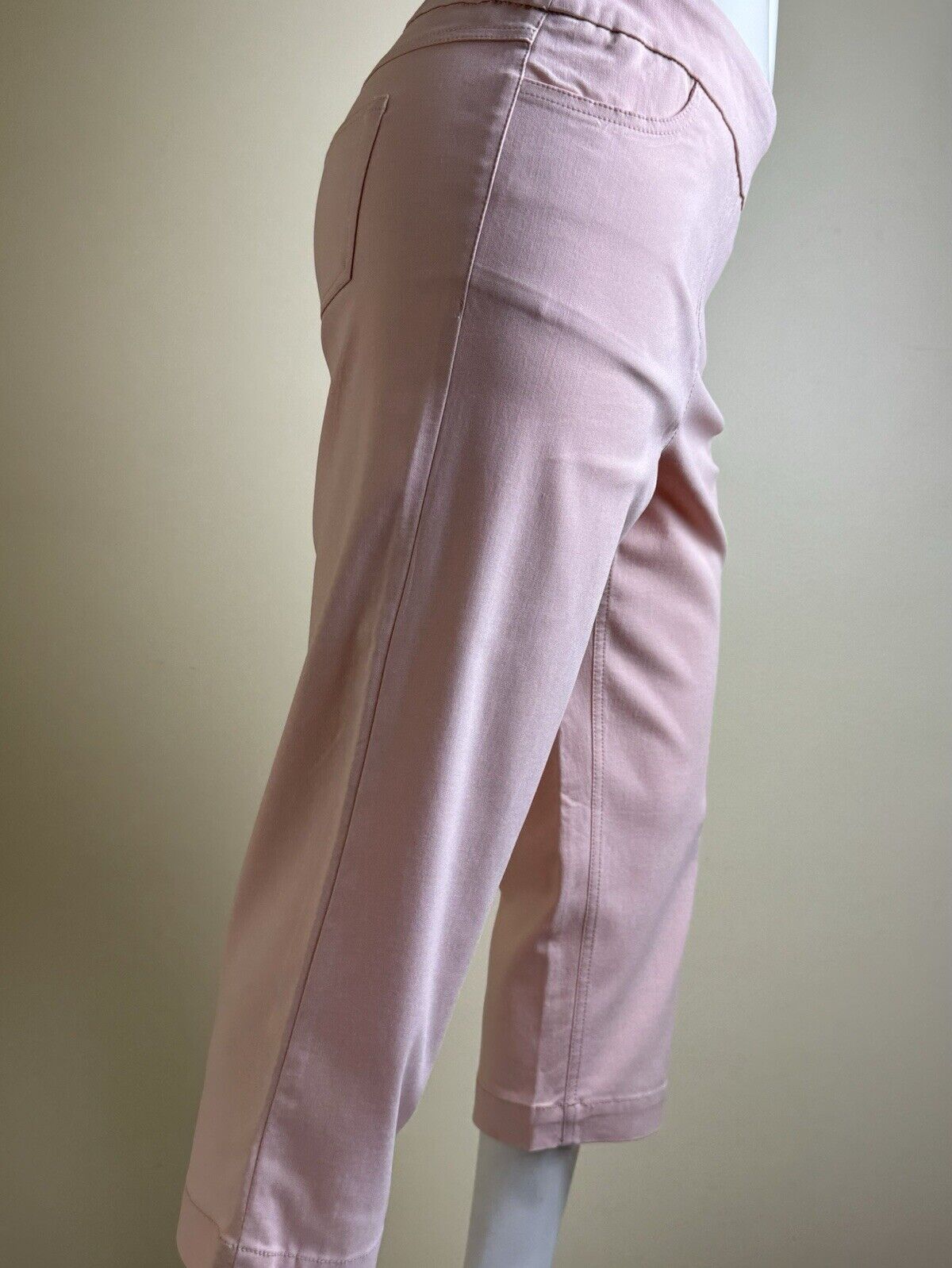 Slim Sation Women’s Golf Pull on Pants Size 8 Stretch. (B.84)