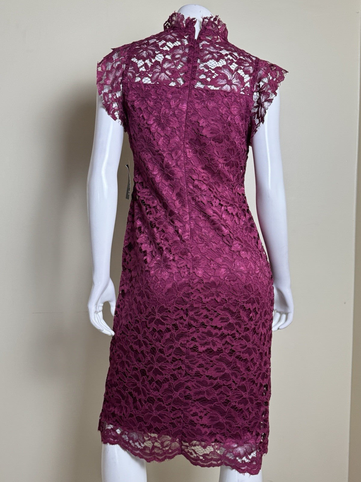 Alexa B Nites Fuchsia Lace Dress Size 8.  (B.99)