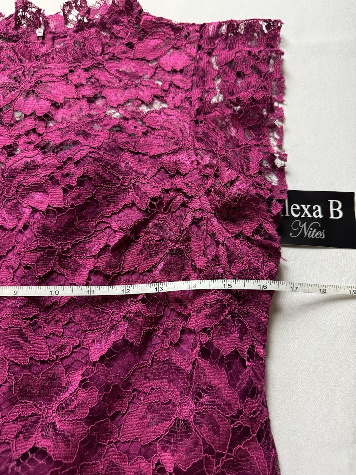 Alexa B Nites Fuchsia Crochet Dress Size 10.  (B.132)