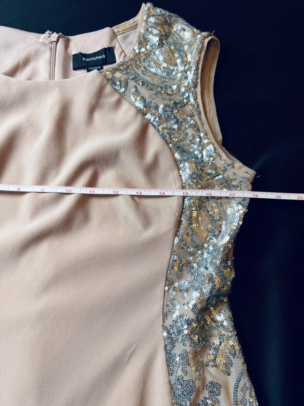 R&M Richard Knee-Length Sheath Dress w/Sheer Inserts Sequins Sz 10 (B.52)