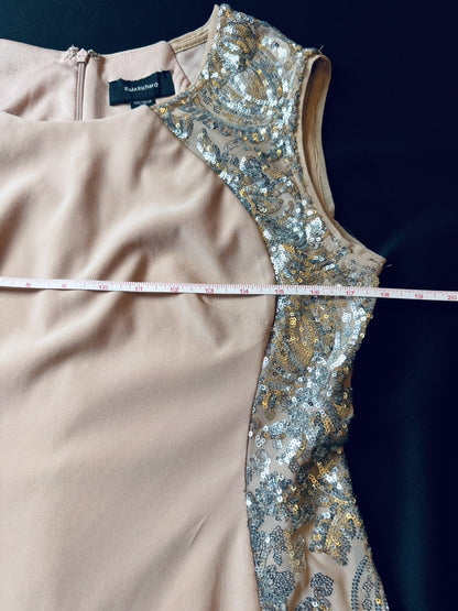 R&M Richard Knee-Length Sheath Dress w/Sheer Inserts Sequins Sz 10 (B.52)