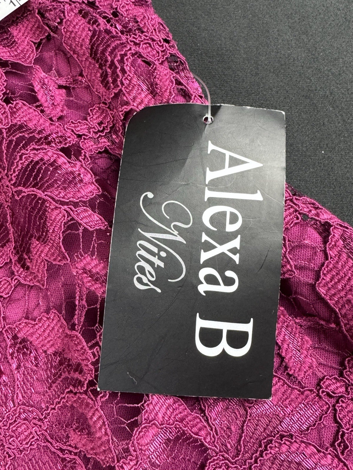Alexa B Nites Fuchsia Lace Dress Size 8.  (B.99)