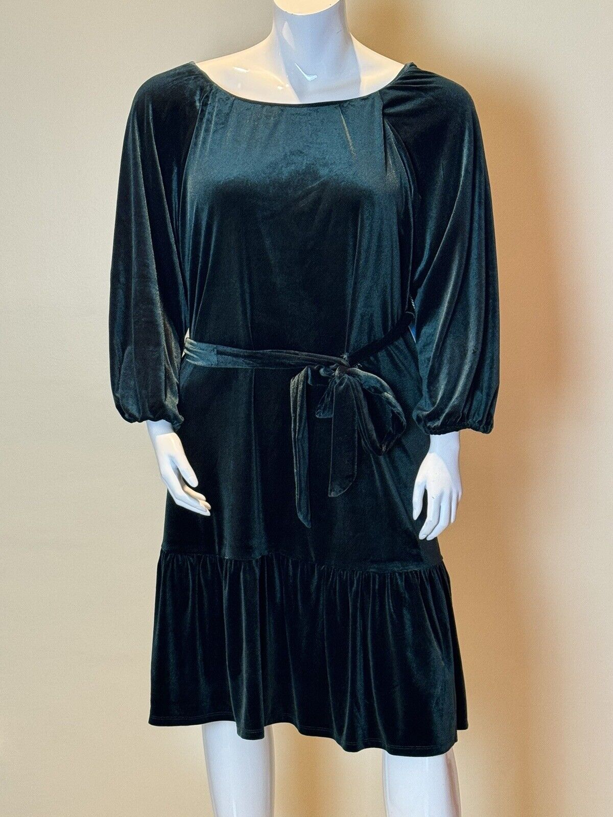 Draper James Rsvp Green Velvet Winter Dress Sz 1XL     (66)