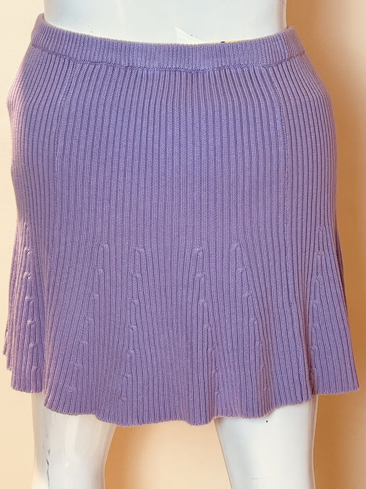 Circus NY Knit Silhouette Skirt Sz XL Lavender A-Line Elastic Waistband